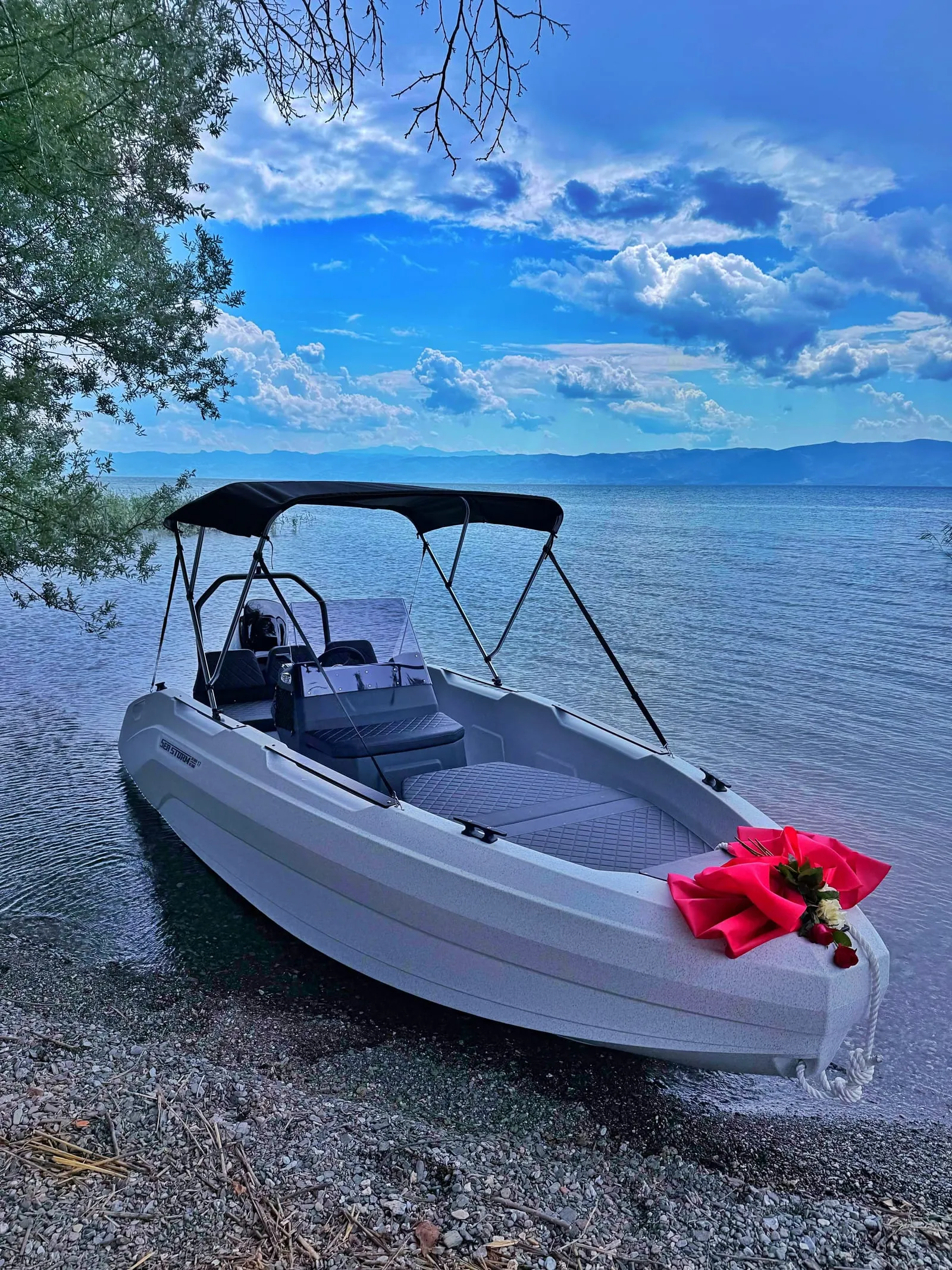 SeaStorm 17 with bimini top on a pebble beach
